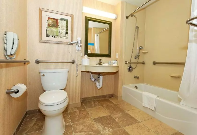 هتل Hampton Inn Montrose