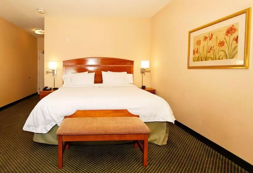 هتل Hampton Inn Montrose