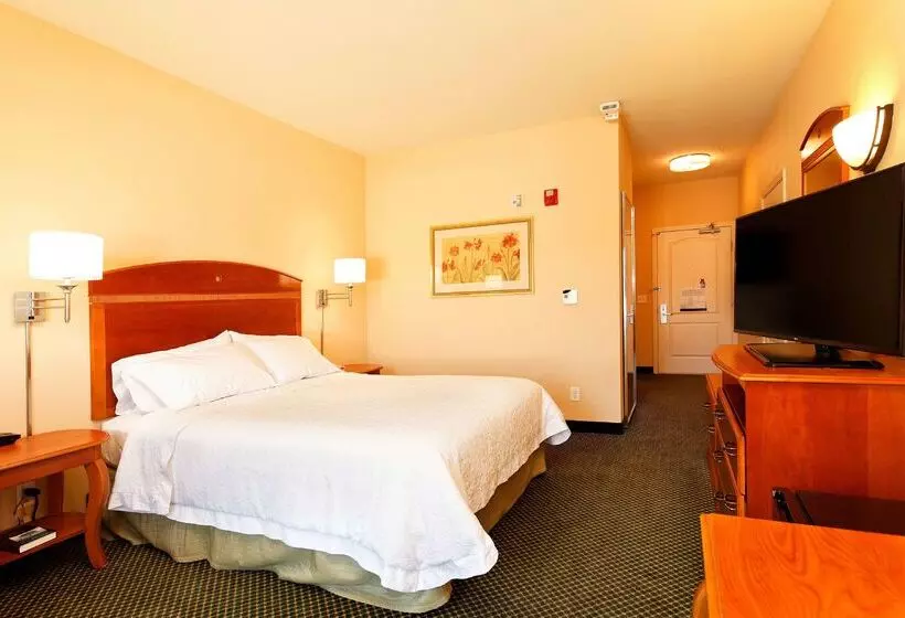 هتل Hampton Inn Montrose