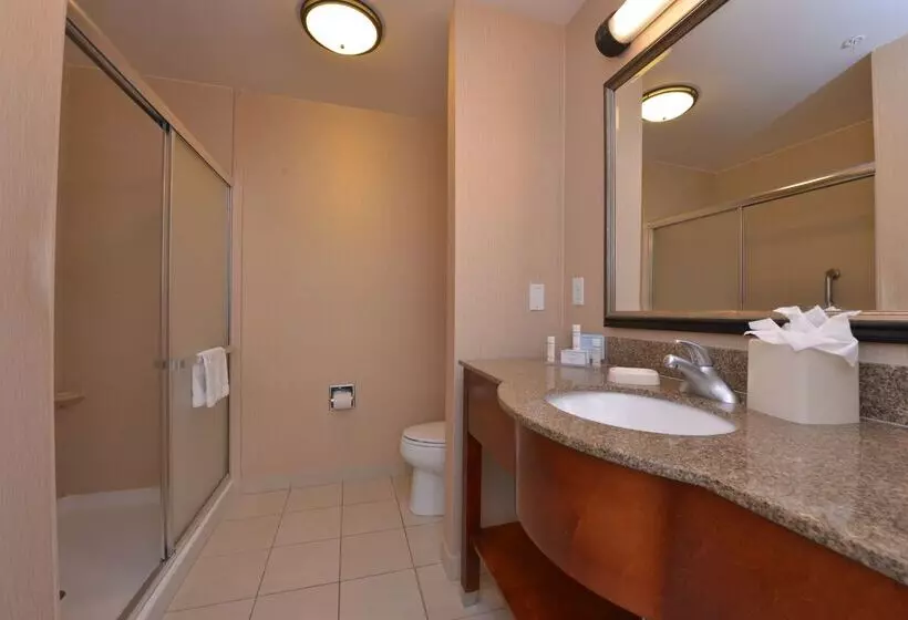 ホテル Hampton Inn & Suites Bakersfield Northairport