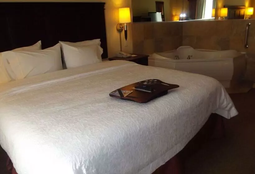 酒店 Hampton Inn & Suites Gainesville