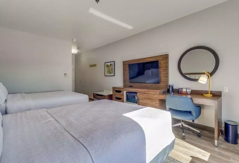 酒店 Hampton Inn & Suites Gainesville