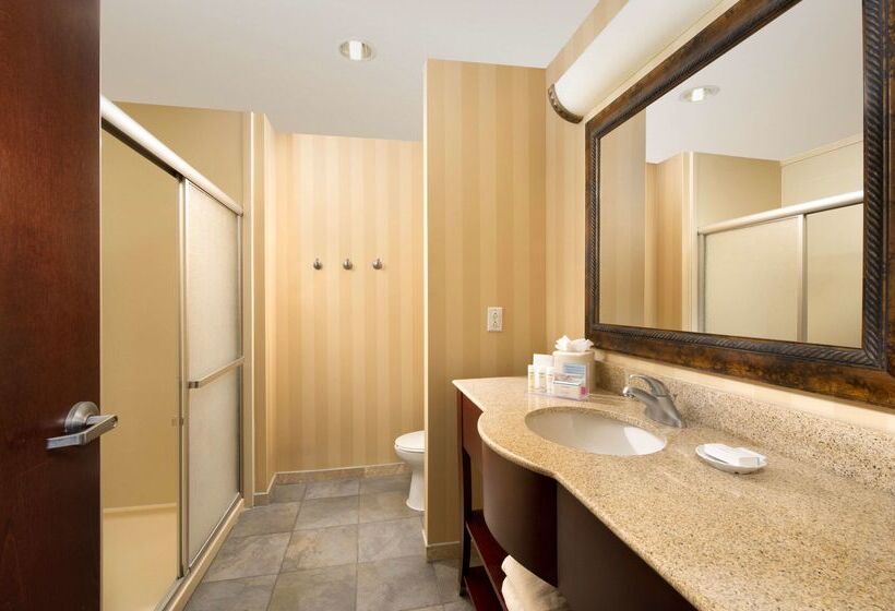 فندق Hampton Inn & Suites San Antonioairport