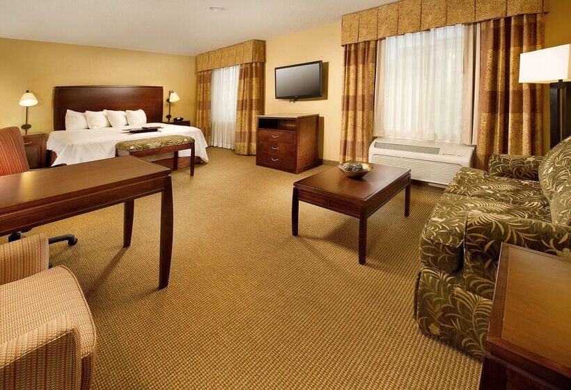 فندق Hampton Inn & Suites San Antonioairport