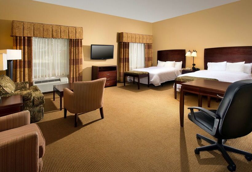 فندق Hampton Inn & Suites San Antonioairport