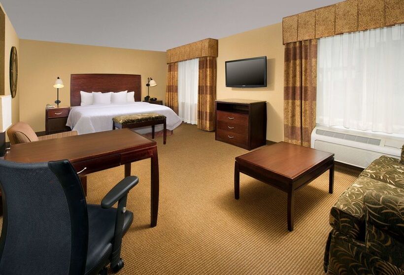 فندق Hampton Inn & Suites San Antonioairport