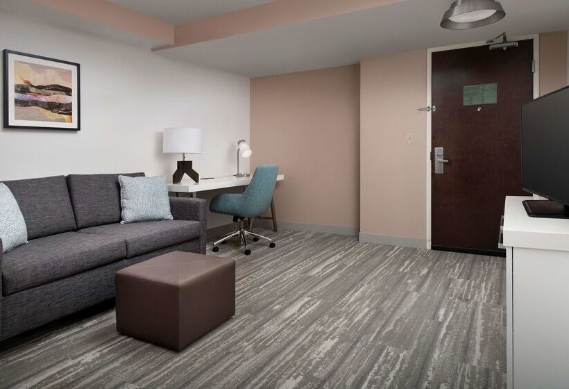 ホテル Hilton Garden Inn Dallas/duncanville