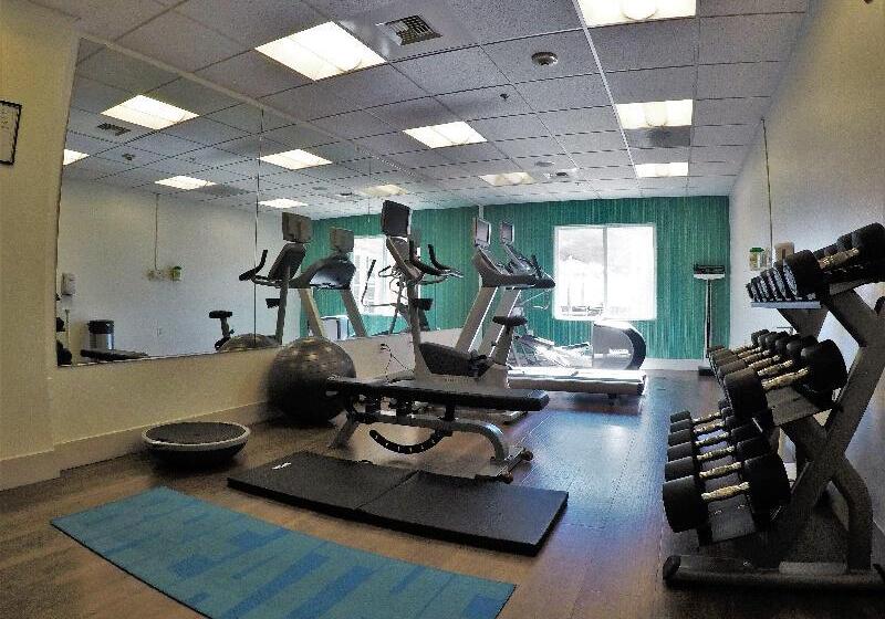 Holiday Inn Express Hotel & Suites Napa Valley American Canyon, An Ihg