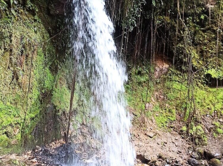 בית מלון כפרי La Herreria Colonial