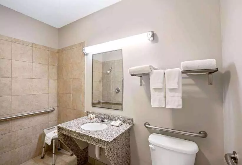 酒店 La Quinta By Wyndham Brookshire West Katy