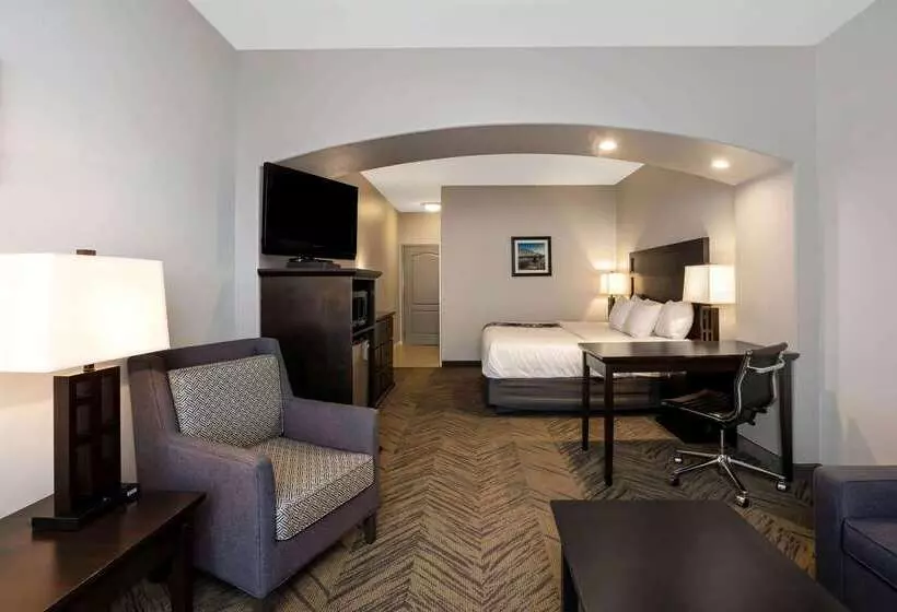 酒店 La Quinta By Wyndham Brookshire West Katy