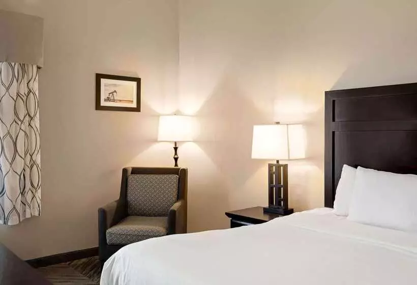 酒店 La Quinta By Wyndham Brookshire West Katy