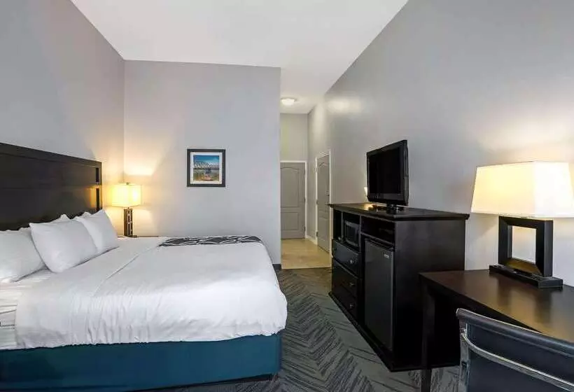 酒店 La Quinta By Wyndham Brookshire West Katy