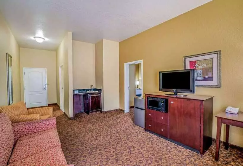 هتل La Quinta By Wyndham Vicksburg