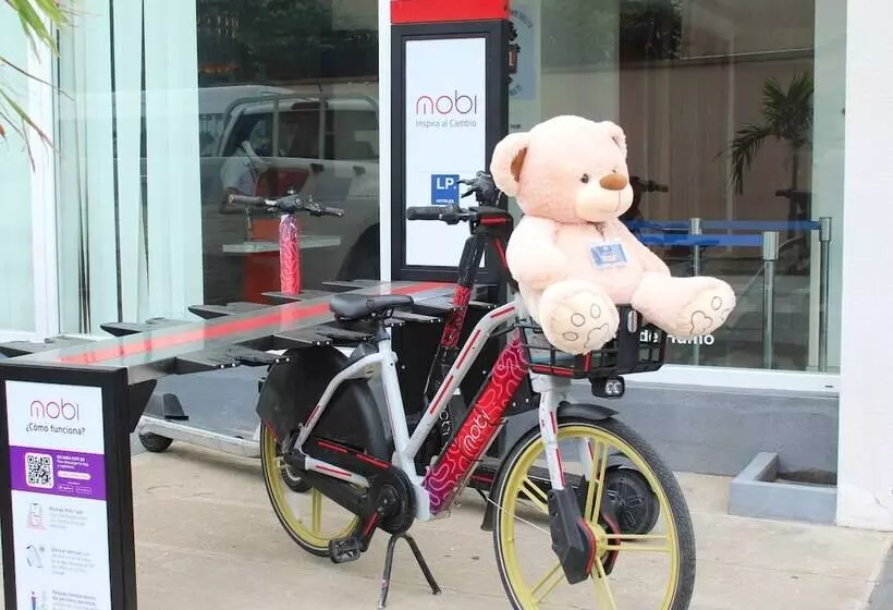 هتل Lp Santa Cruz Centro