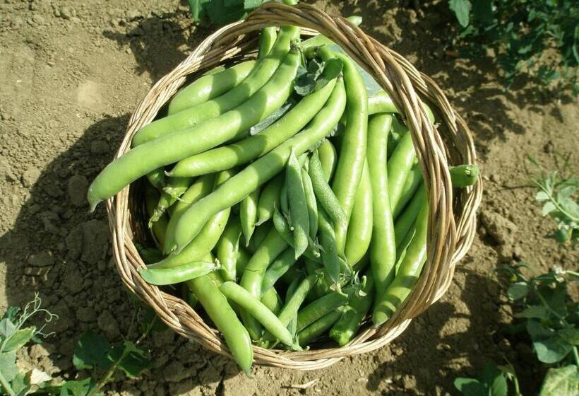 فندق ريفى Marco & Andrea Agriturismo