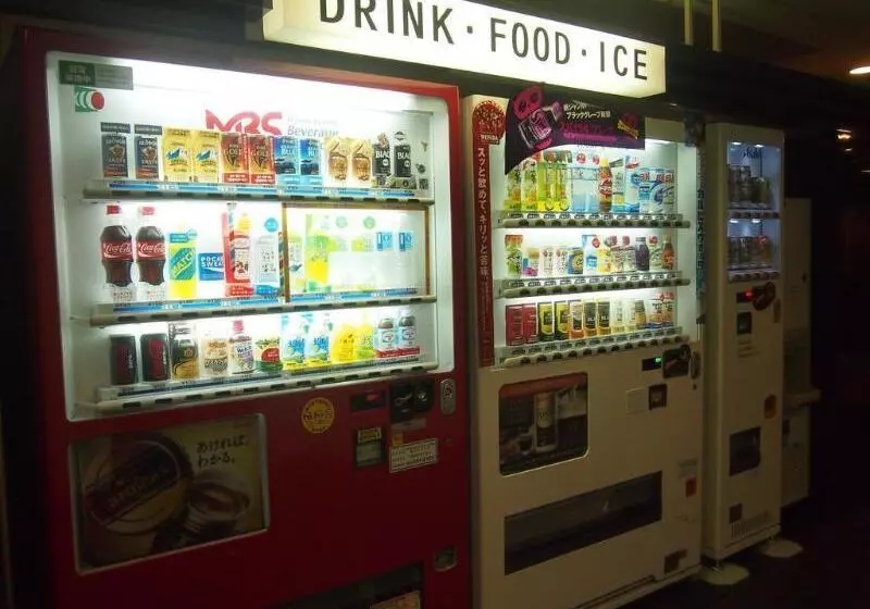 Отель Taisei Annex