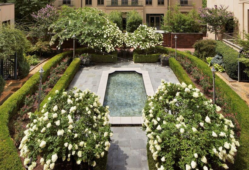 فندق Waldorf Astoria Atlanta Buckhead