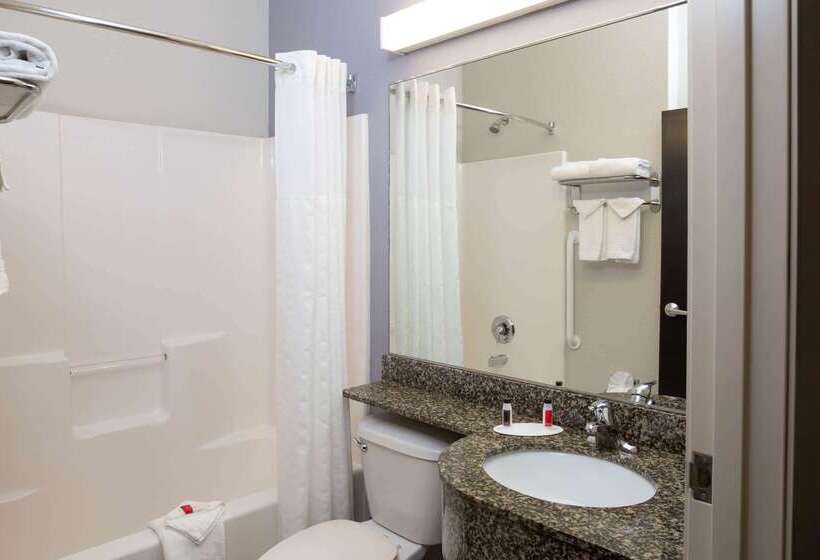 Microtel Inn & Suites By Wyndham Brooksville