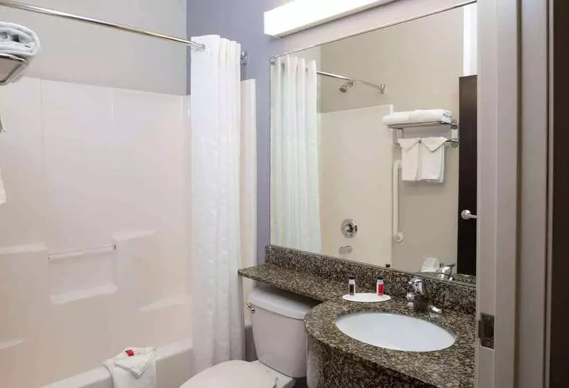 Microtel Inn & Suites By Wyndham Brooksville