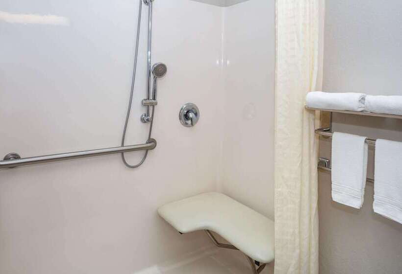 Microtel Inn & Suites By Wyndham Brooksville