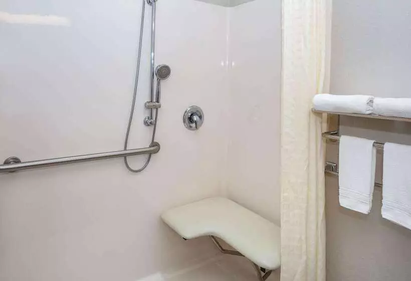 Microtel Inn & Suites By Wyndham Brooksville