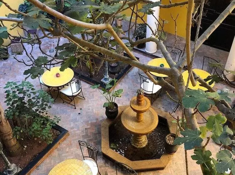 Riad Soleil D'Orient