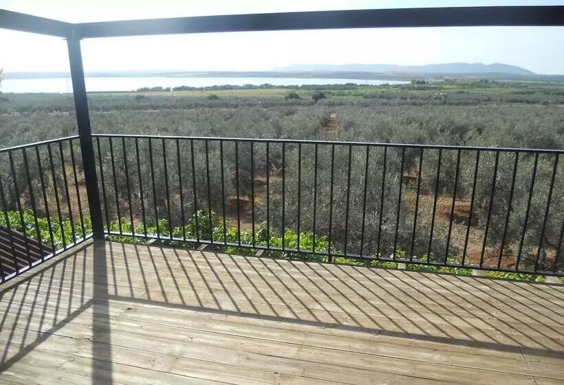 Camping Fuente De Piedra