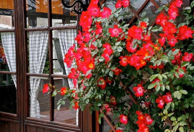 فندق Al Gallo Nero