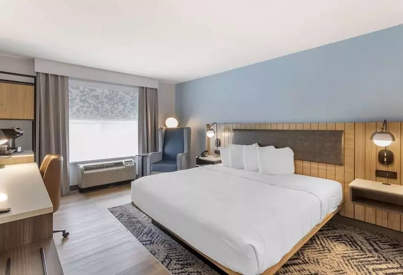 ホテル Country Inn & Suites By Radisson, Savannah Airport, Ga