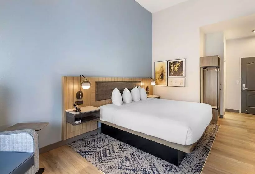 ホテル Country Inn & Suites By Radisson, Savannah Airport, Ga