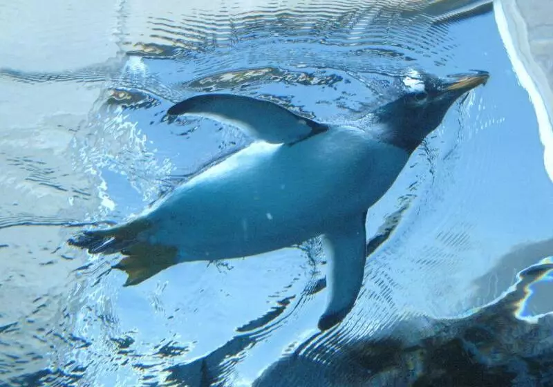 Szálloda Crescent Asahikawa