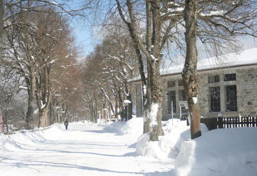 فندق Gästehaus Am Berg