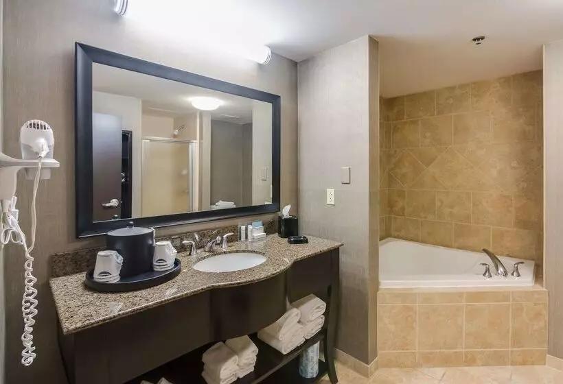 Отель Hampton Inn & Suites Mt. Juliet