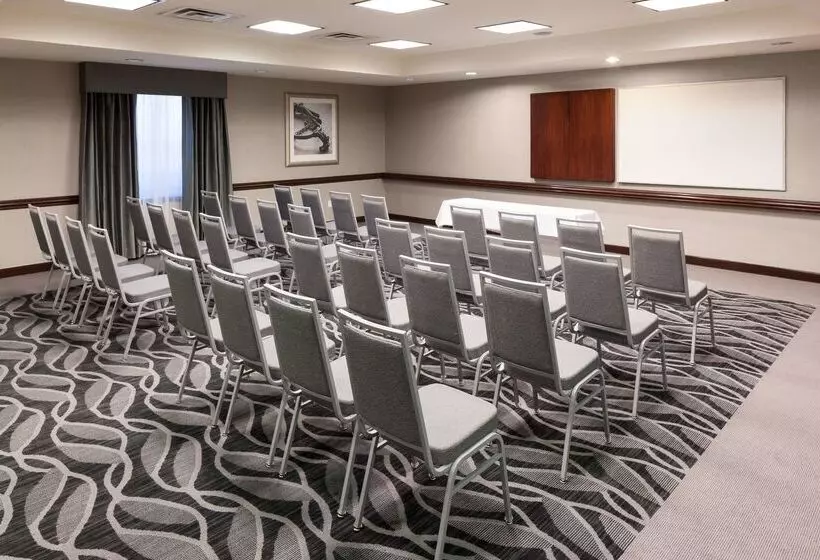 בית מלון כפרי Homewood Suites By Hilton El Paso Airport