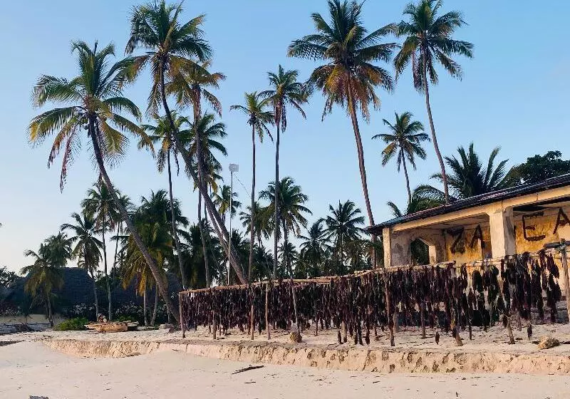 فندق Mbuyuni Beach Village