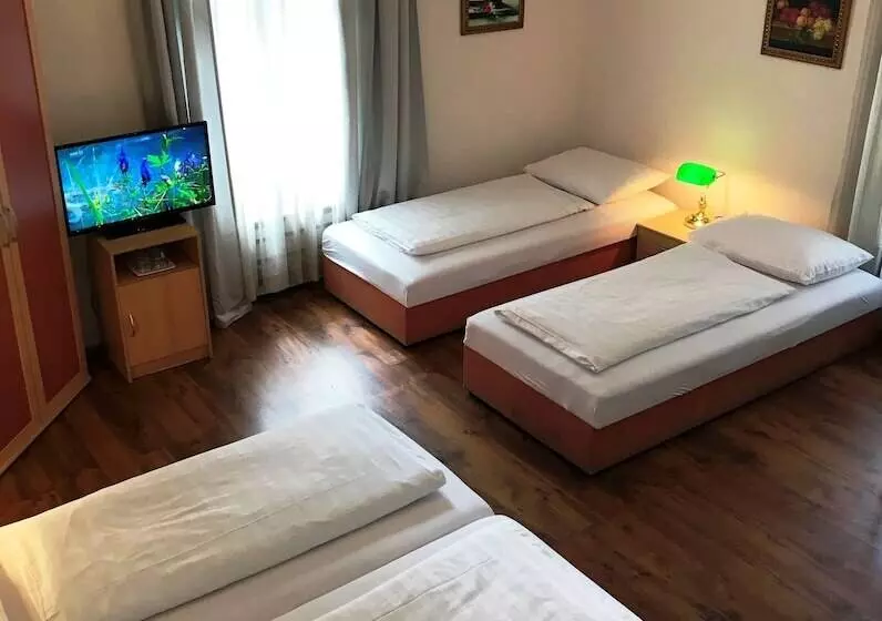 ホテル Pension Liechtenstein