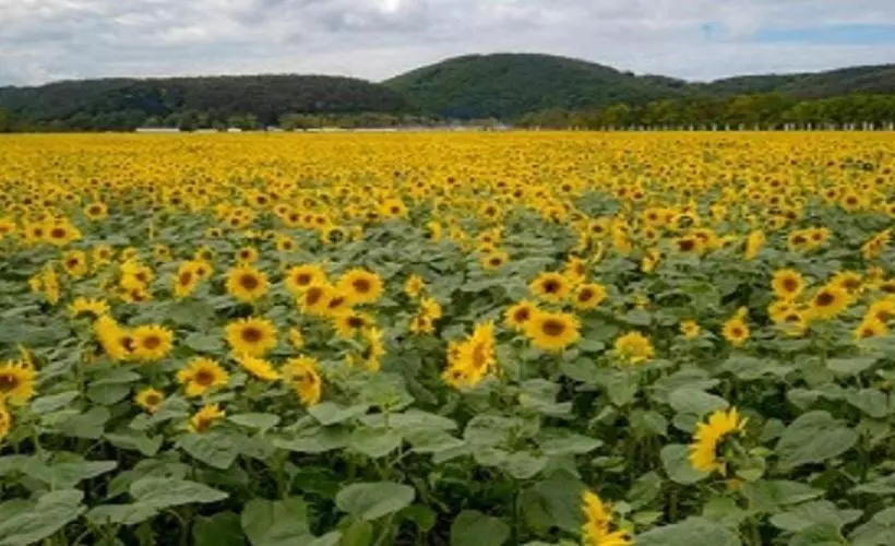 Отель Abashiri Kanko