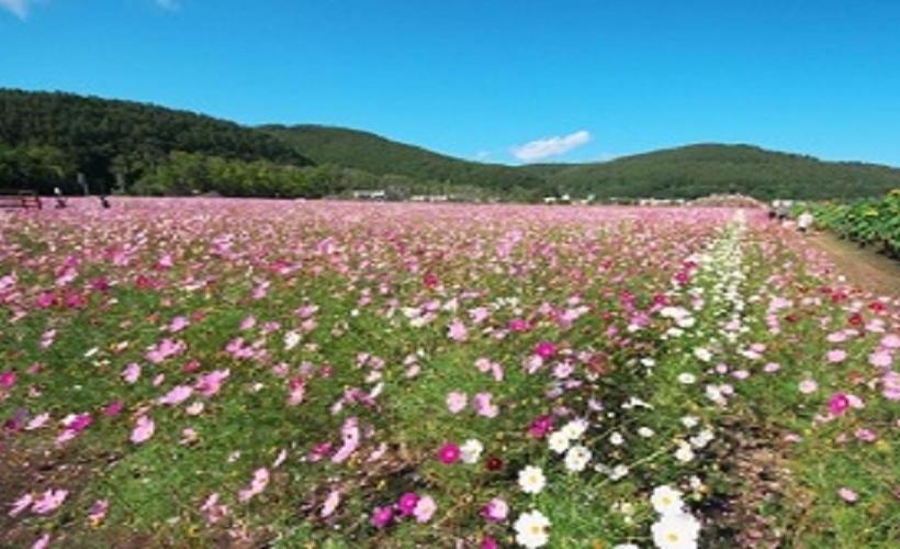 ホテル Abashiri Kanko