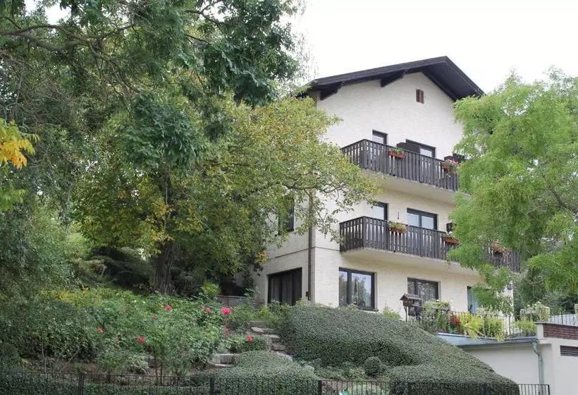 酒店 Aurelius Pension