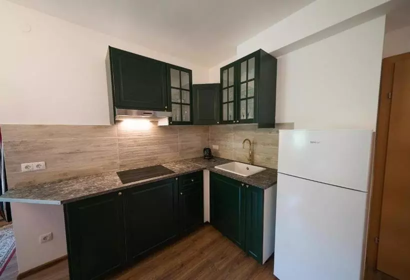 酒店 Aurelius Pension