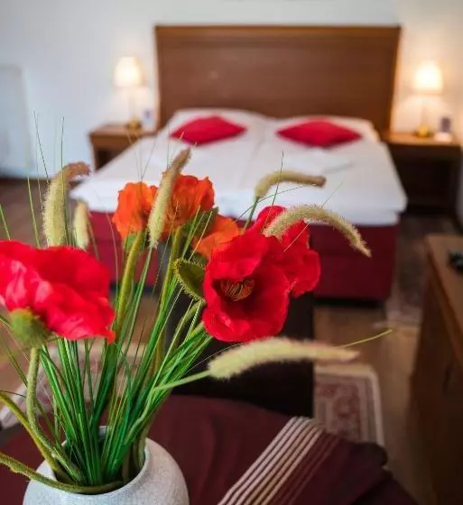 酒店 Aurelius Pension