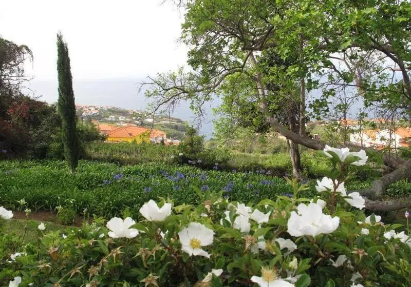 교외 호텔 Quinta Das Vinhas