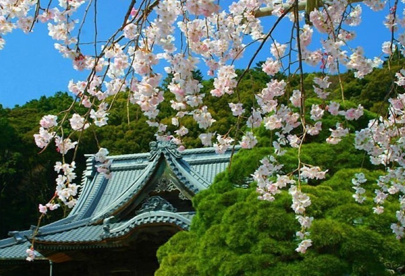 Отель Yukairo Kikuya