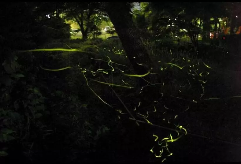 Hotel Yukairo Kikuya