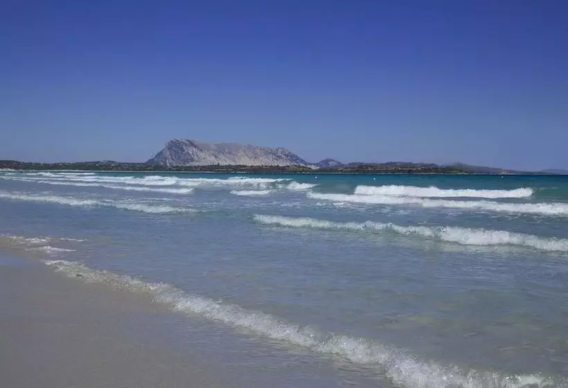 בית מלון כפרי Costa Caddu