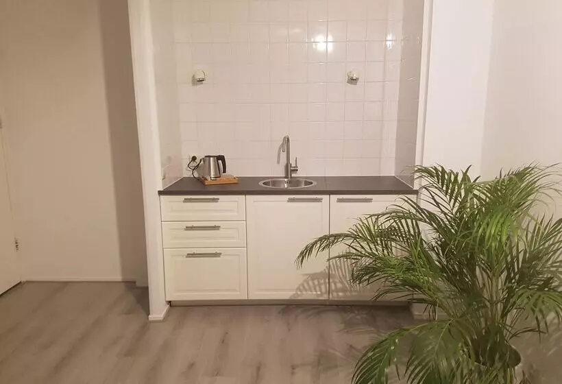 酒店 De Duif Lisse   Keukenhof