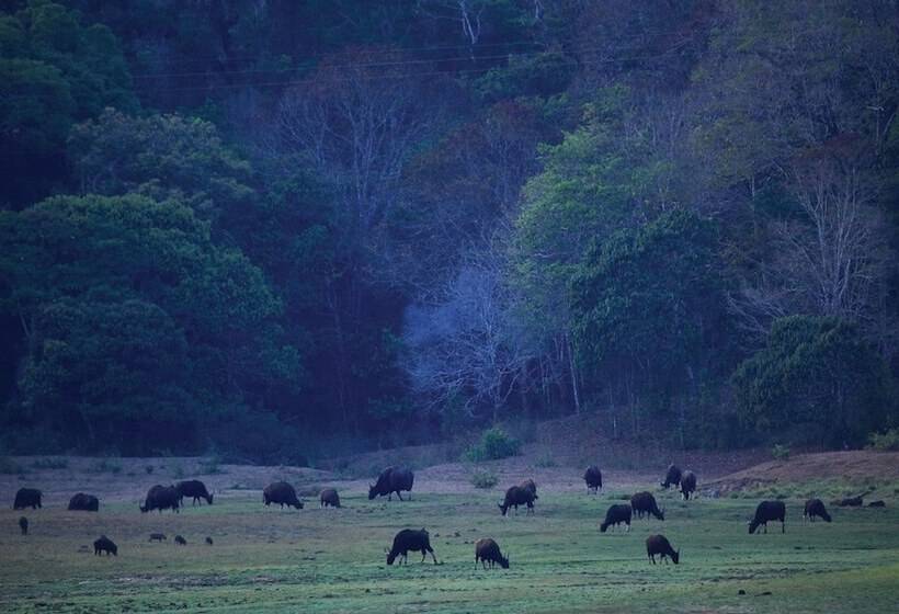 فندق Holiday Inn Cochin, An Ihg