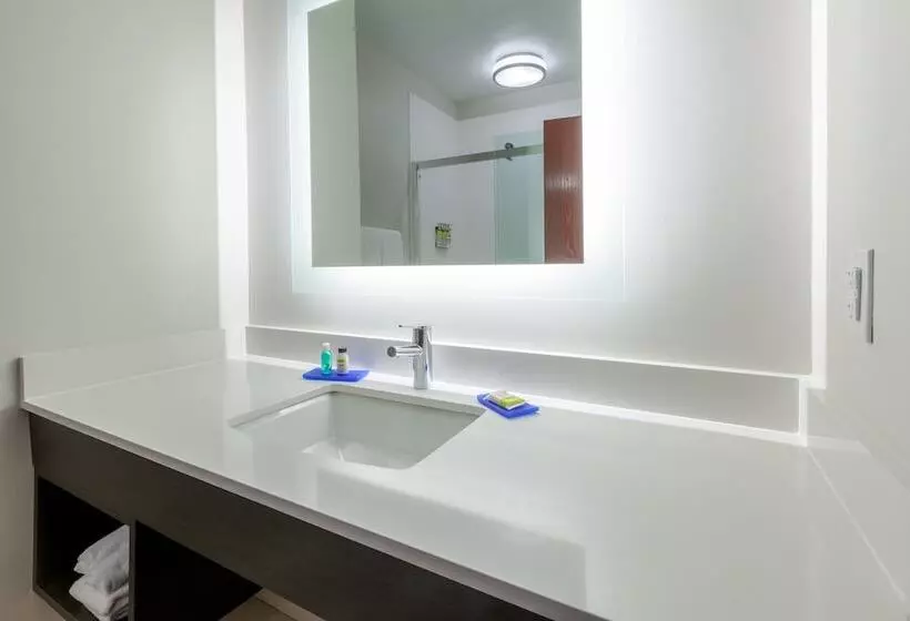 Holiday Inn Express Hotel & Suites Woodhaven, An Ihg