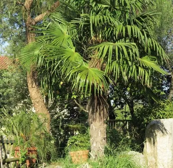Hotelli Albergo Little Garden